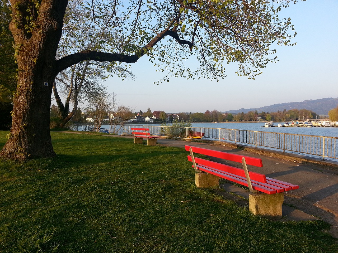 草坪状态极 草坪状态极