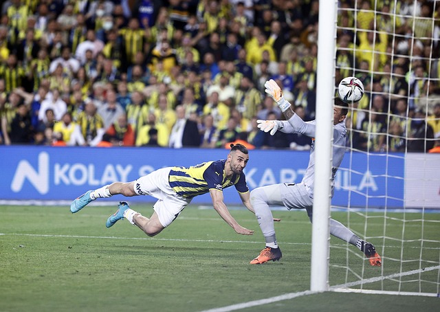 看到了更多 看到了更多