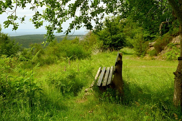并未与C罗 并未与C罗