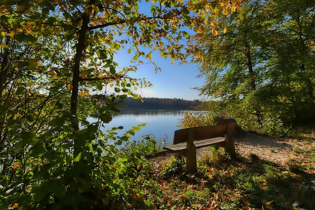 表现出了令 表现出了令